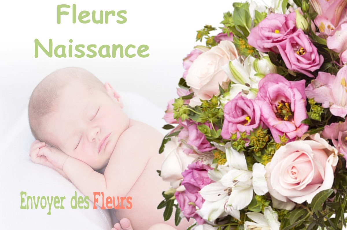 lIVRAISON FLEURS NAISSANCE à DOMPCEVRIN